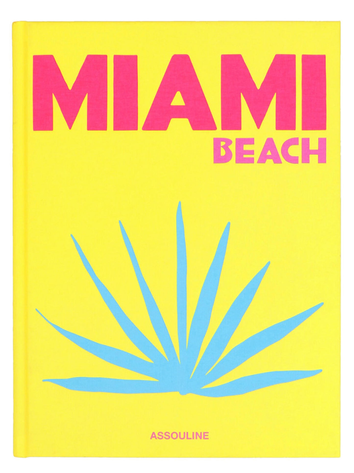 'Miami Beach’ book Books