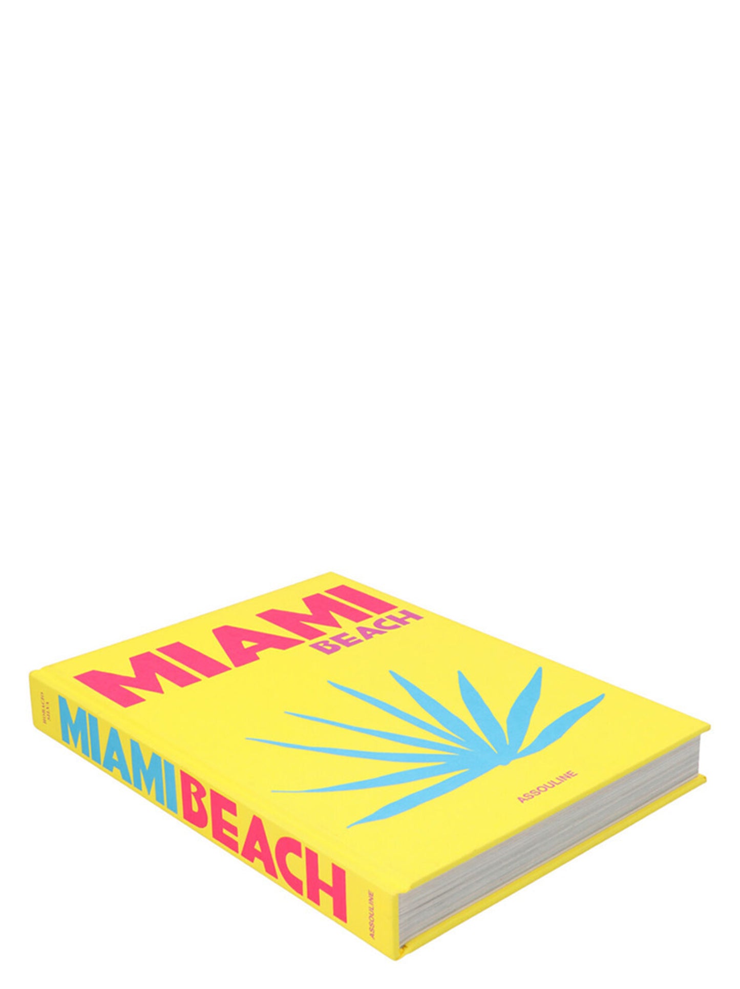 'Miami Beach’ book Books