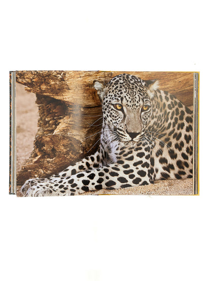 'Arabian Leopard' book Books