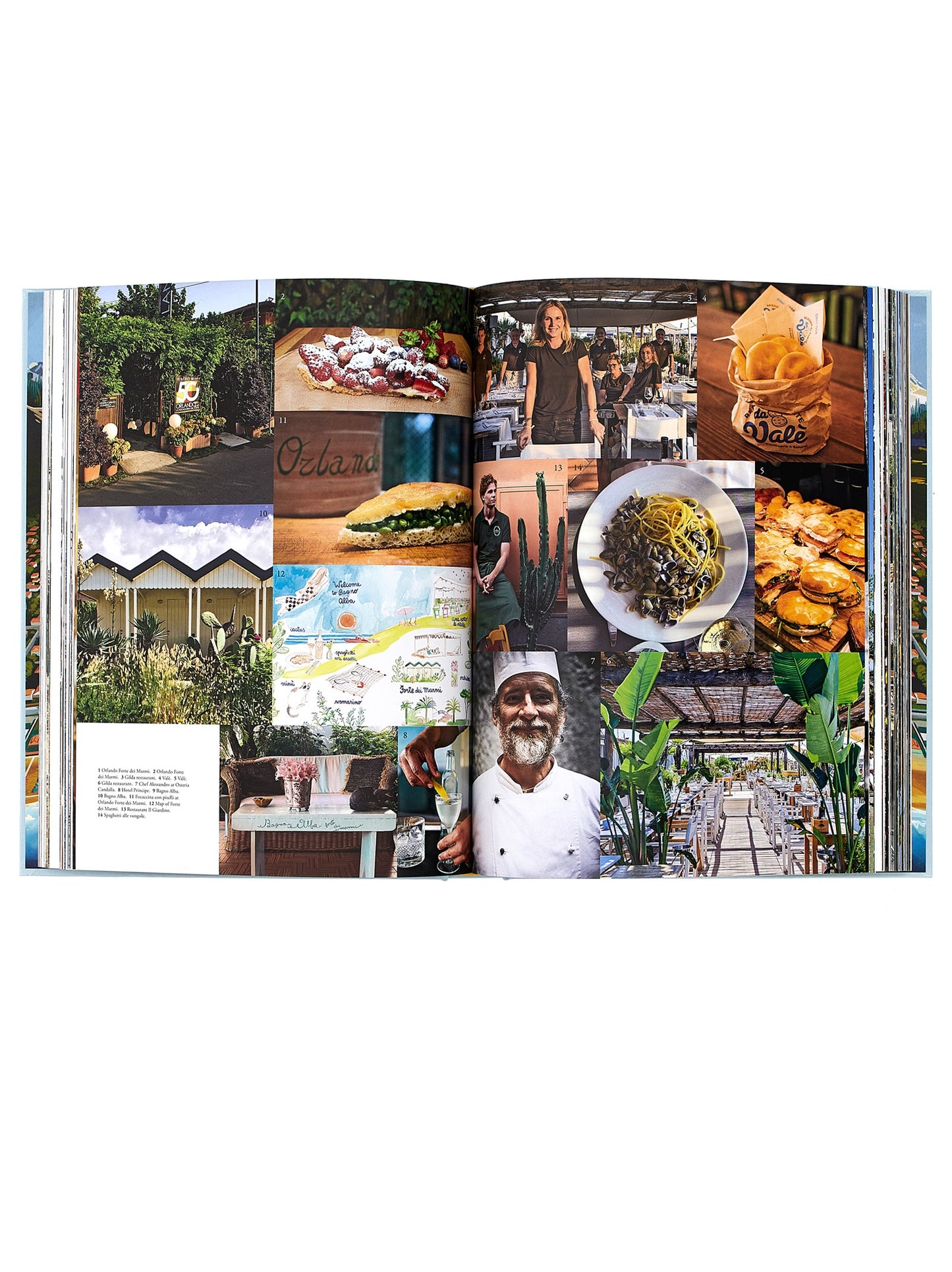 'Forte Dei Marmi' book Books
