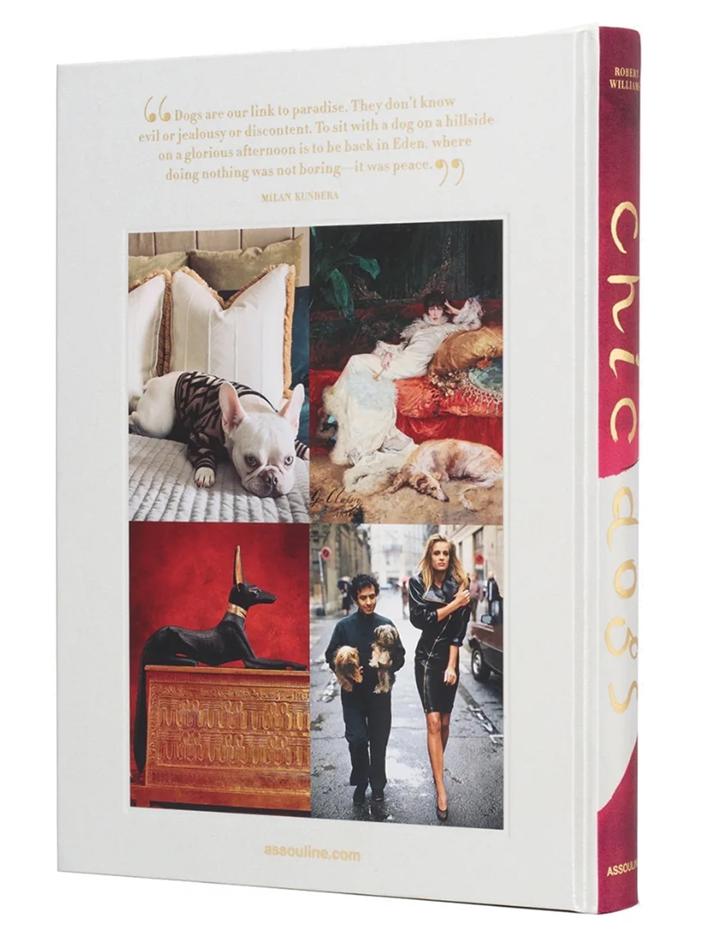 'Chic Dogs' book Books