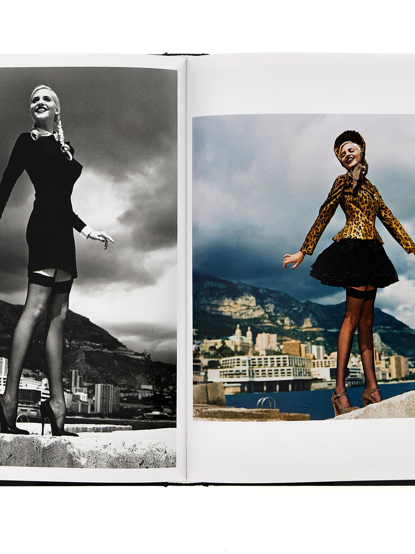 'Helmut Newton. A Gun for Hire' book Books