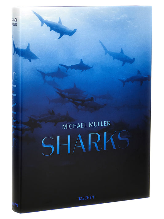 'Michael Muller. Sharks' book Books
