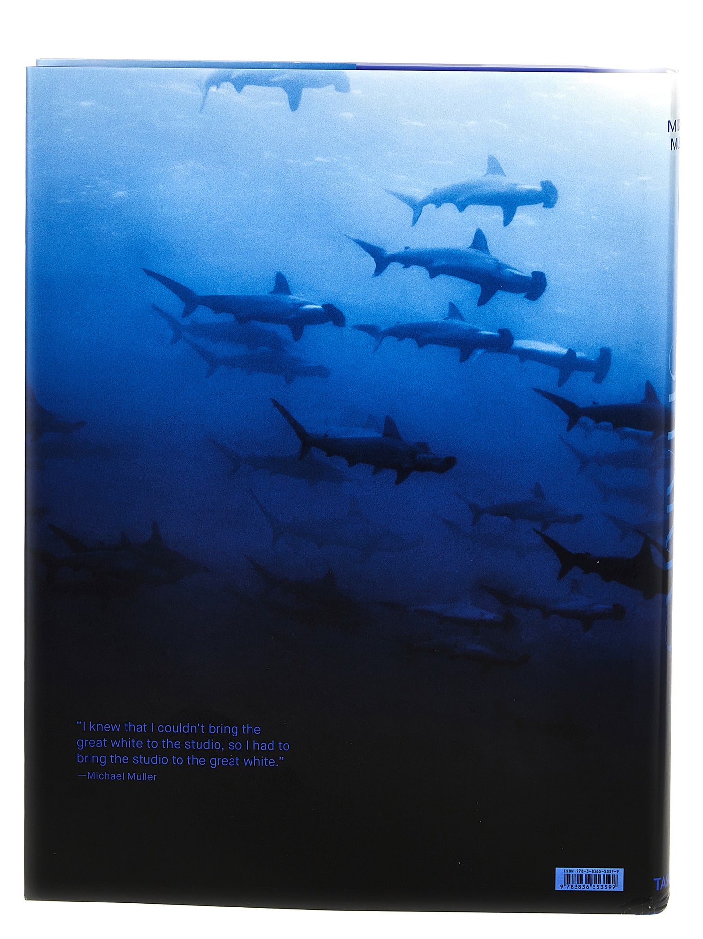 'Michael Muller. Sharks' book Books