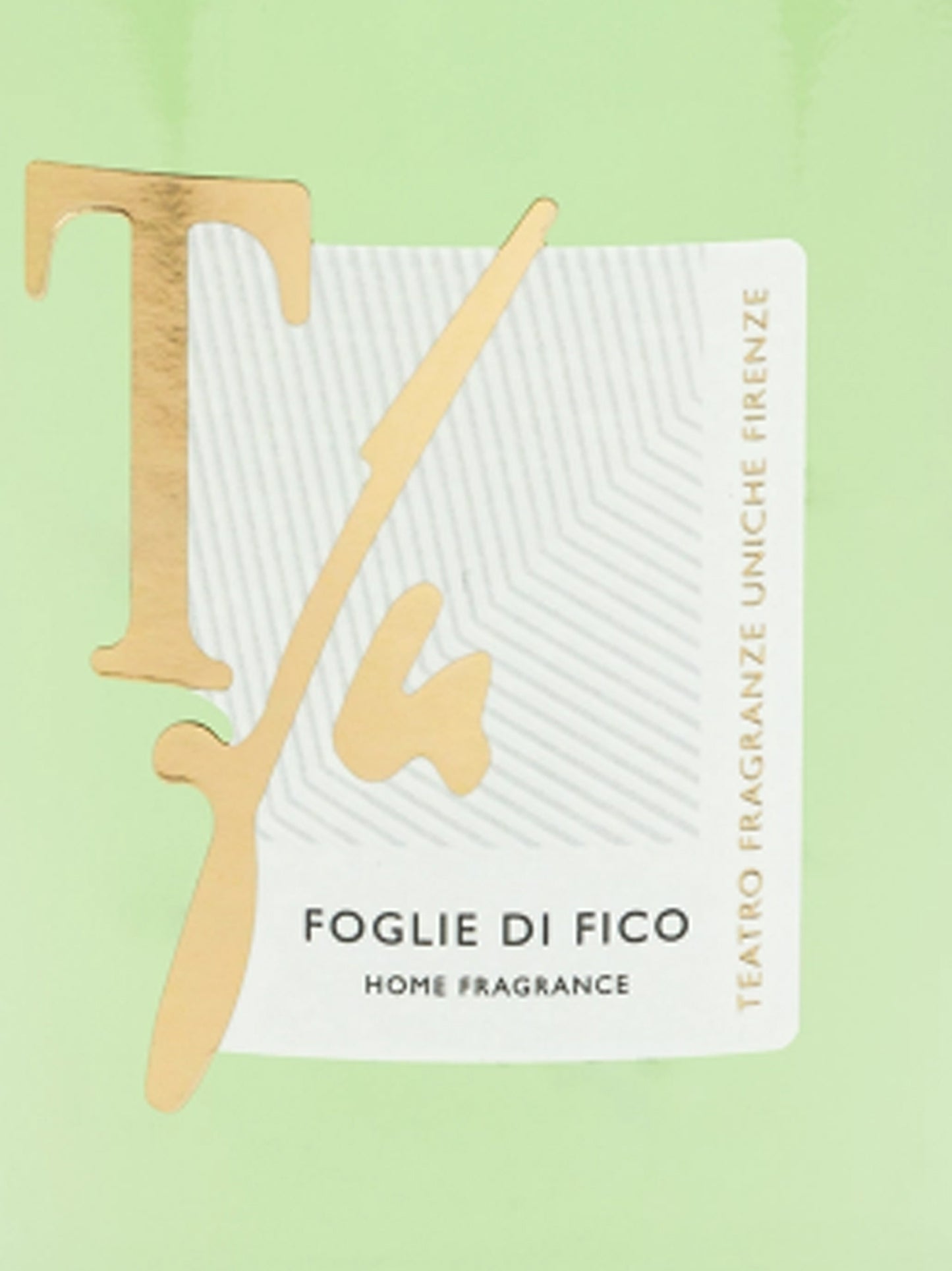 Diffuser with sticks 'Foglie di Fico' 100 ml Room diffusers