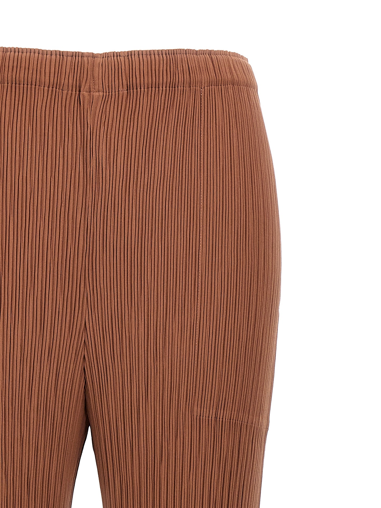 'Hatching Pleats' pants Pants