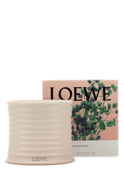 LOEWE LW67805000
