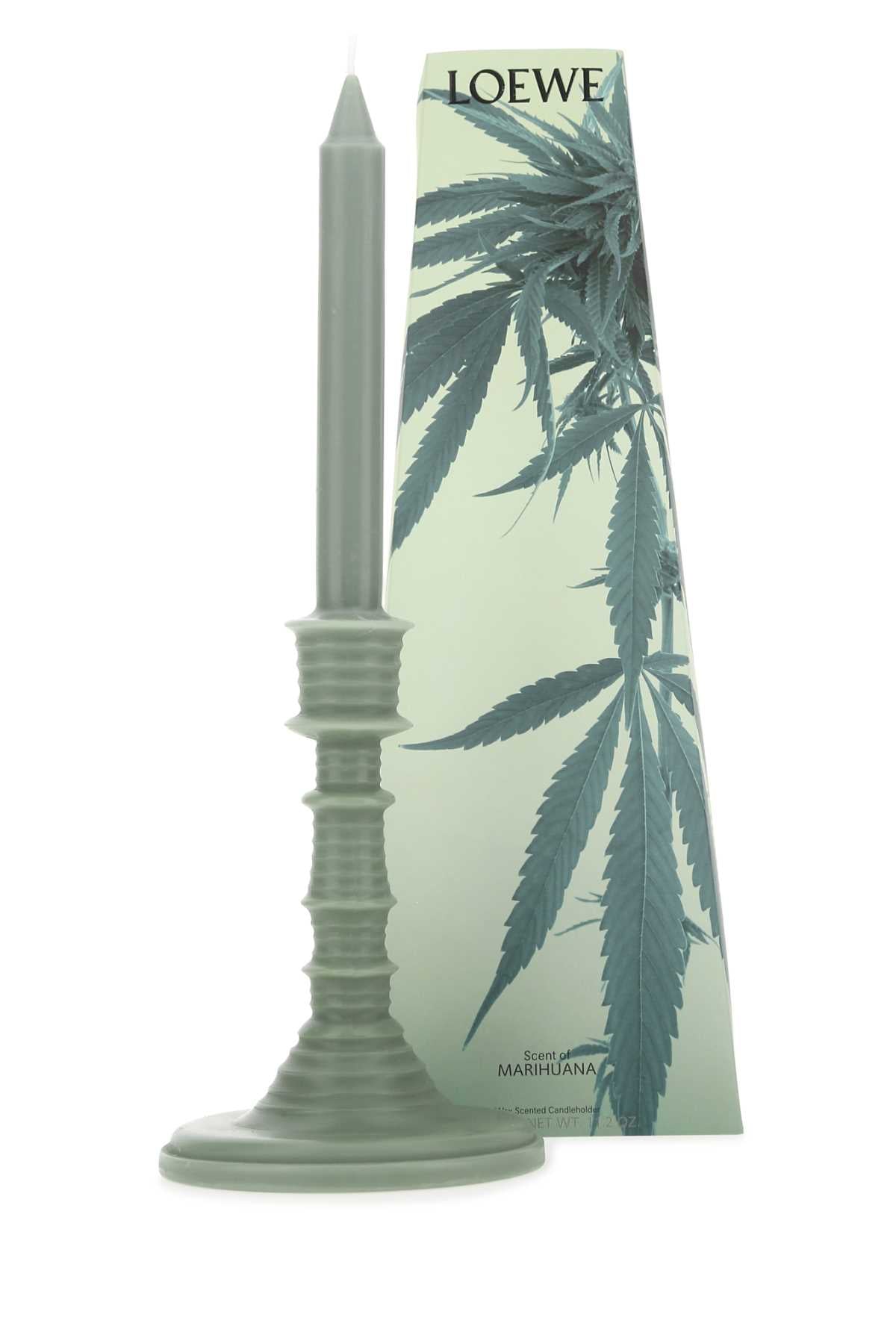 LOEWE LW67911MARIHUANA