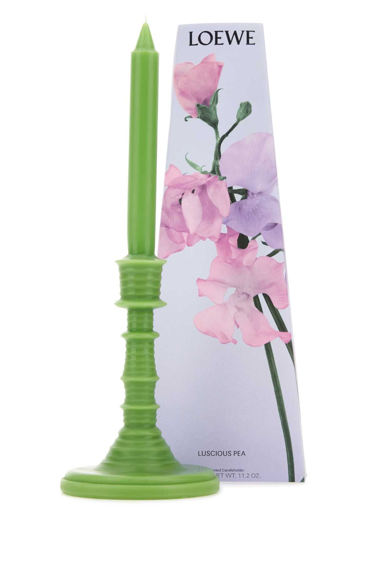 LOEWE LW67966LUSCIOUSPEA