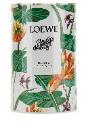 Loewe Loewe paulas ibiza eclectic edt 100 ml