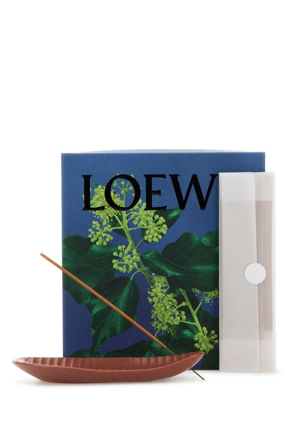 LOEWE LW77347000