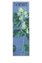 Loewe Loewe incense pack refill ivy