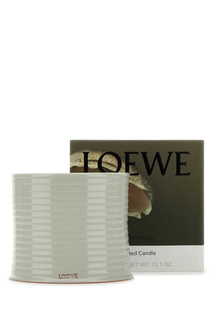 LOEWE LW79914000