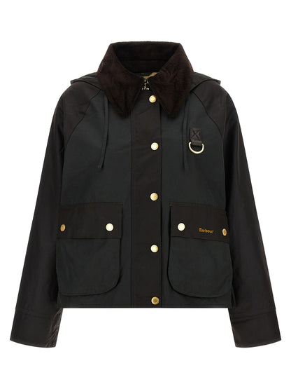 'Reighton' jacket Down jacket, Parka, Casual jackets