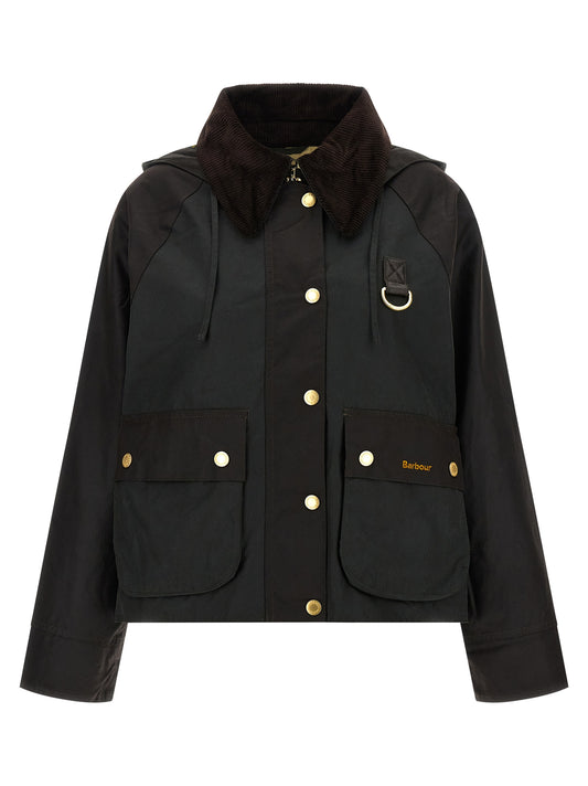 'Reighton' jacket Down jacket, Parka, Casual jackets