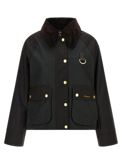 'Reighton' jacket Down jacket, Parka, Casual jackets