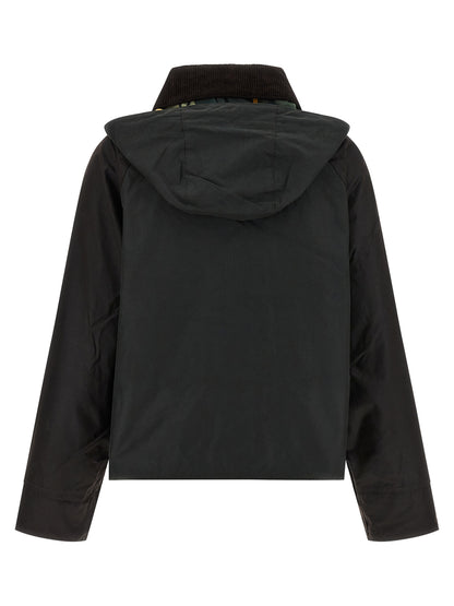 'Reighton' jacket Down jacket, Parka, Casual jackets