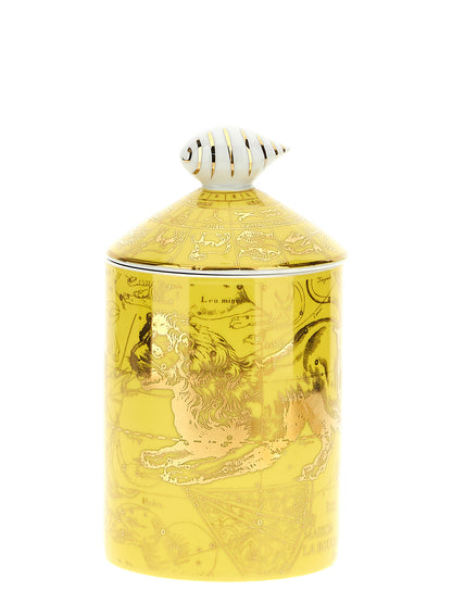 'Lion' candle Candles