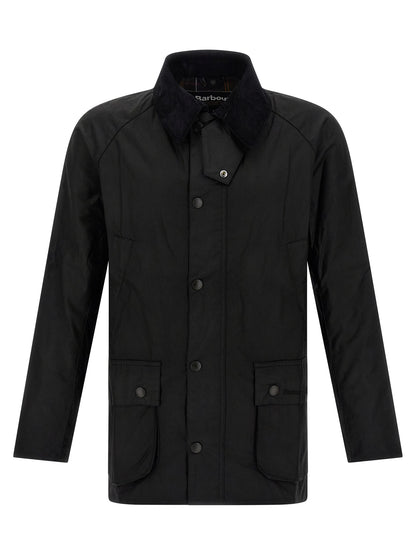 'Ashby' jacket Down jacket, Parka, Casual jackets