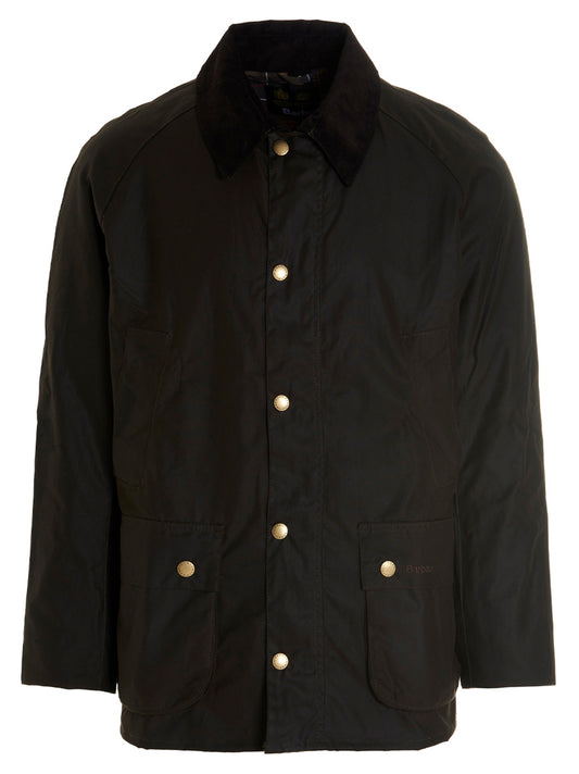 'Ashby' jacket Down jacket, Parka, Casual jackets