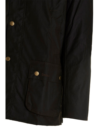 'Ashby' jacket Down jacket, Parka, Casual jackets