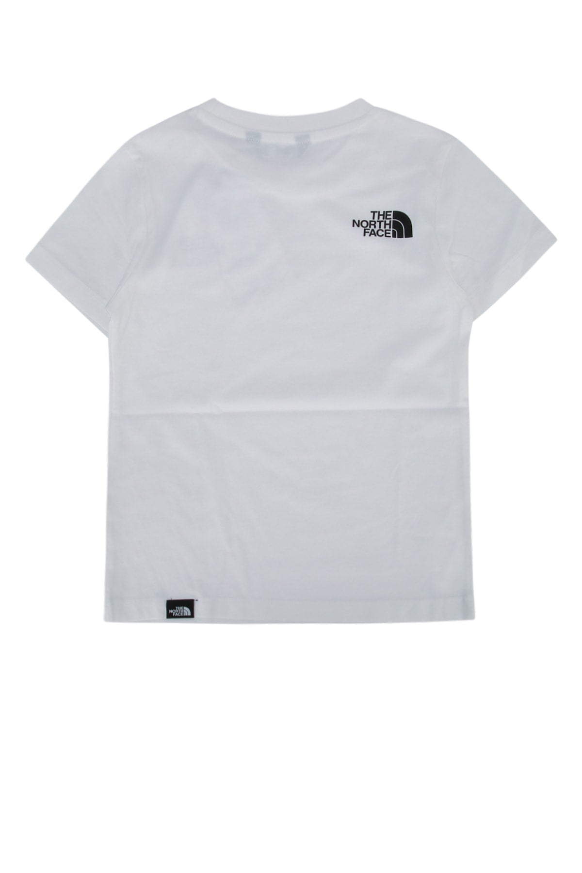 THE NORTH FACE NF0A87T4FN41