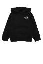 The North Face Teen box nse regular hoodie
