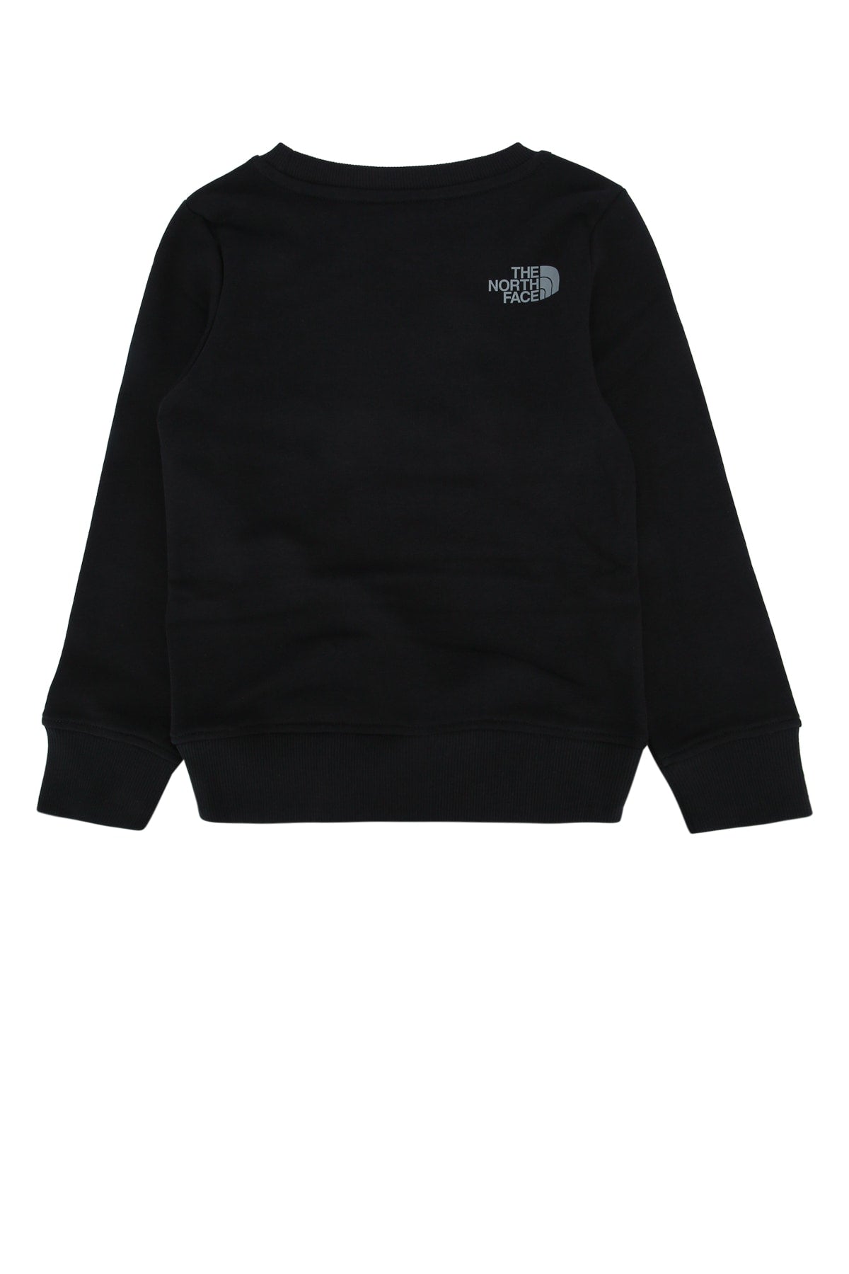 THE NORTH FACE NF0A8AXXJK31