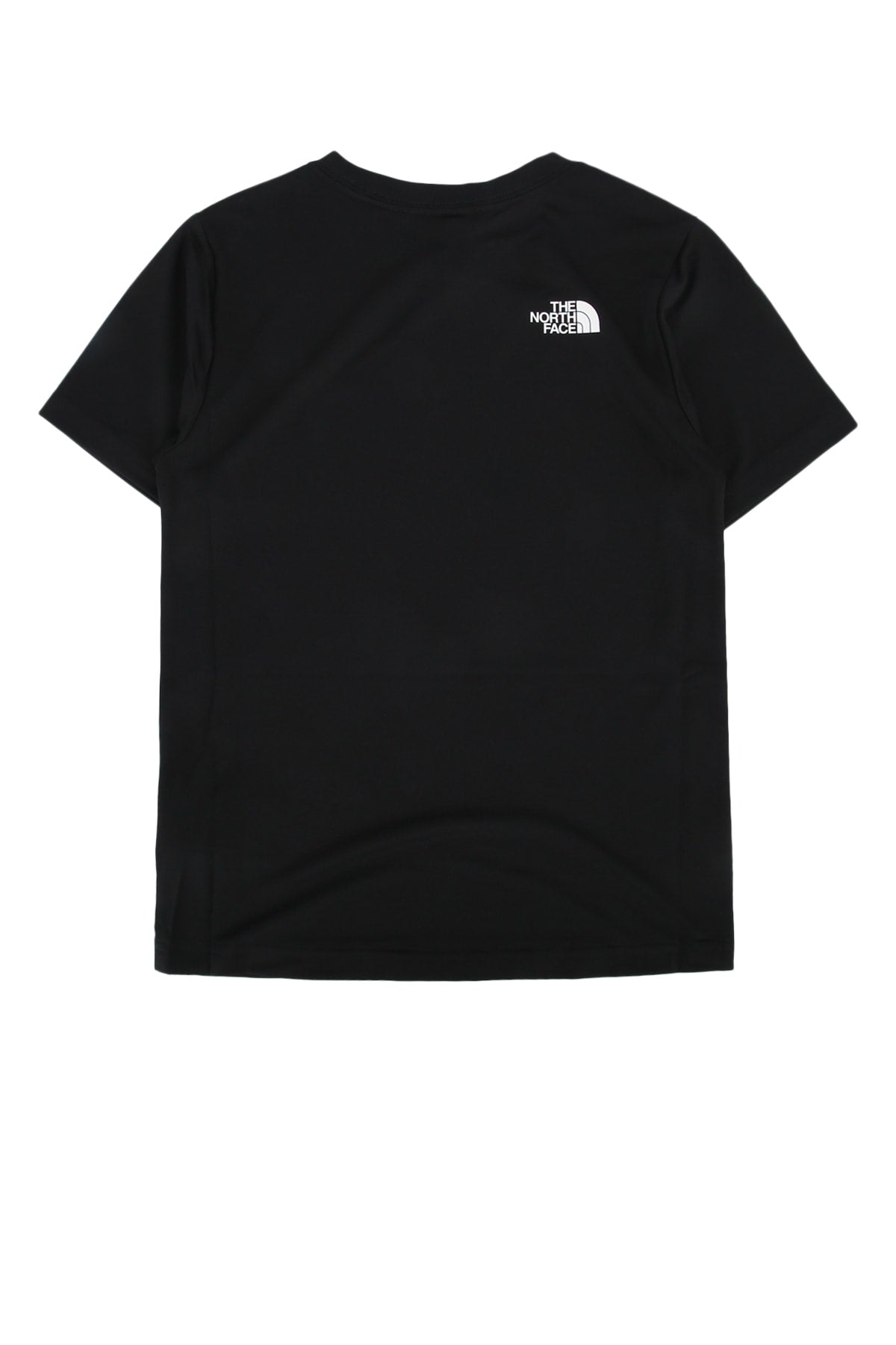 THE NORTH FACE NF0A8DF2JK31