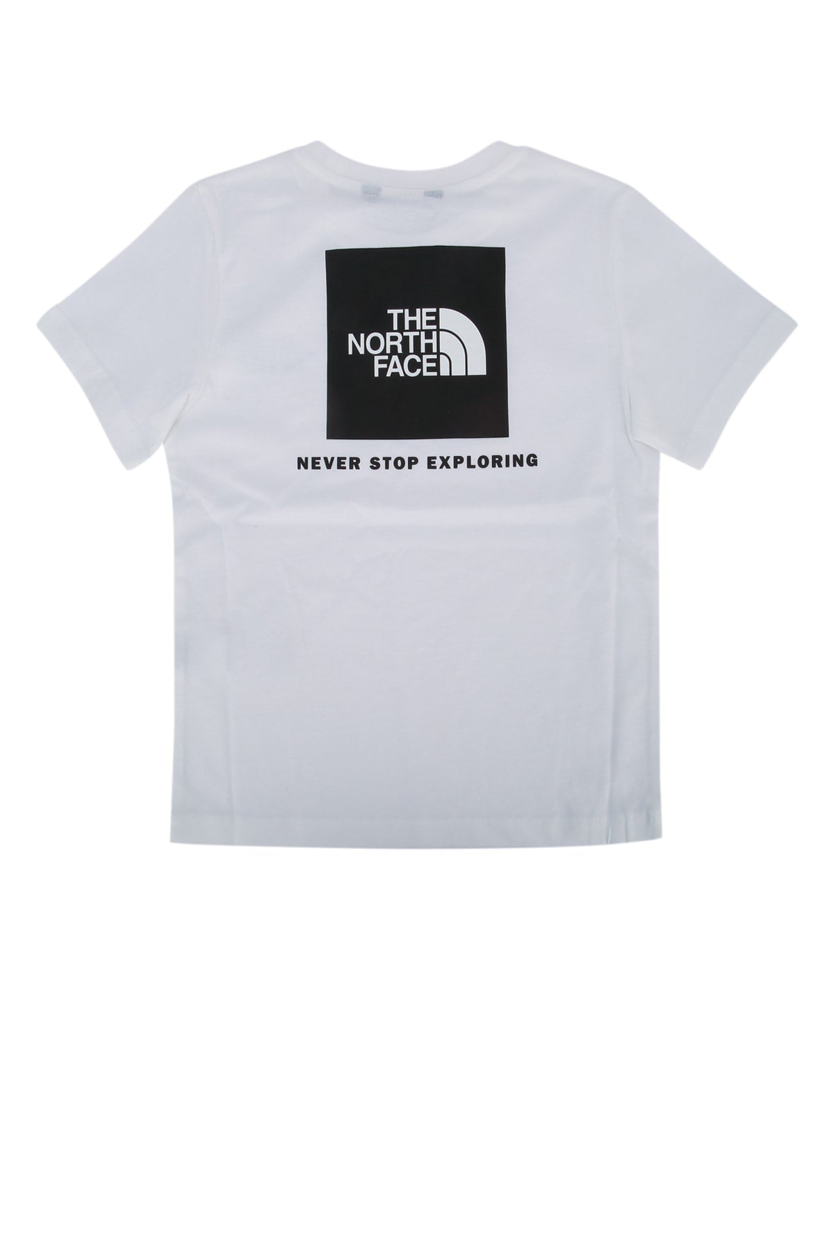 THE NORTH FACE NF0A8EFNFN41