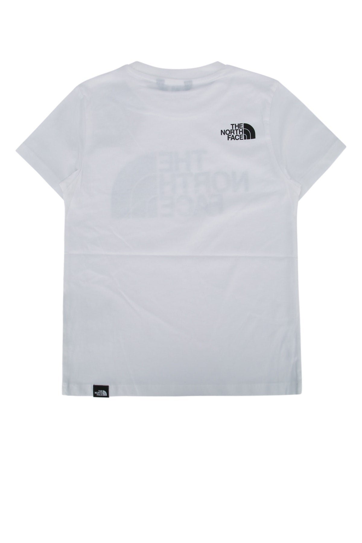 THE NORTH FACE NF0A8EHGFN41