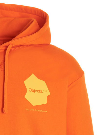 'Continuity' hoodie Sweatshirt