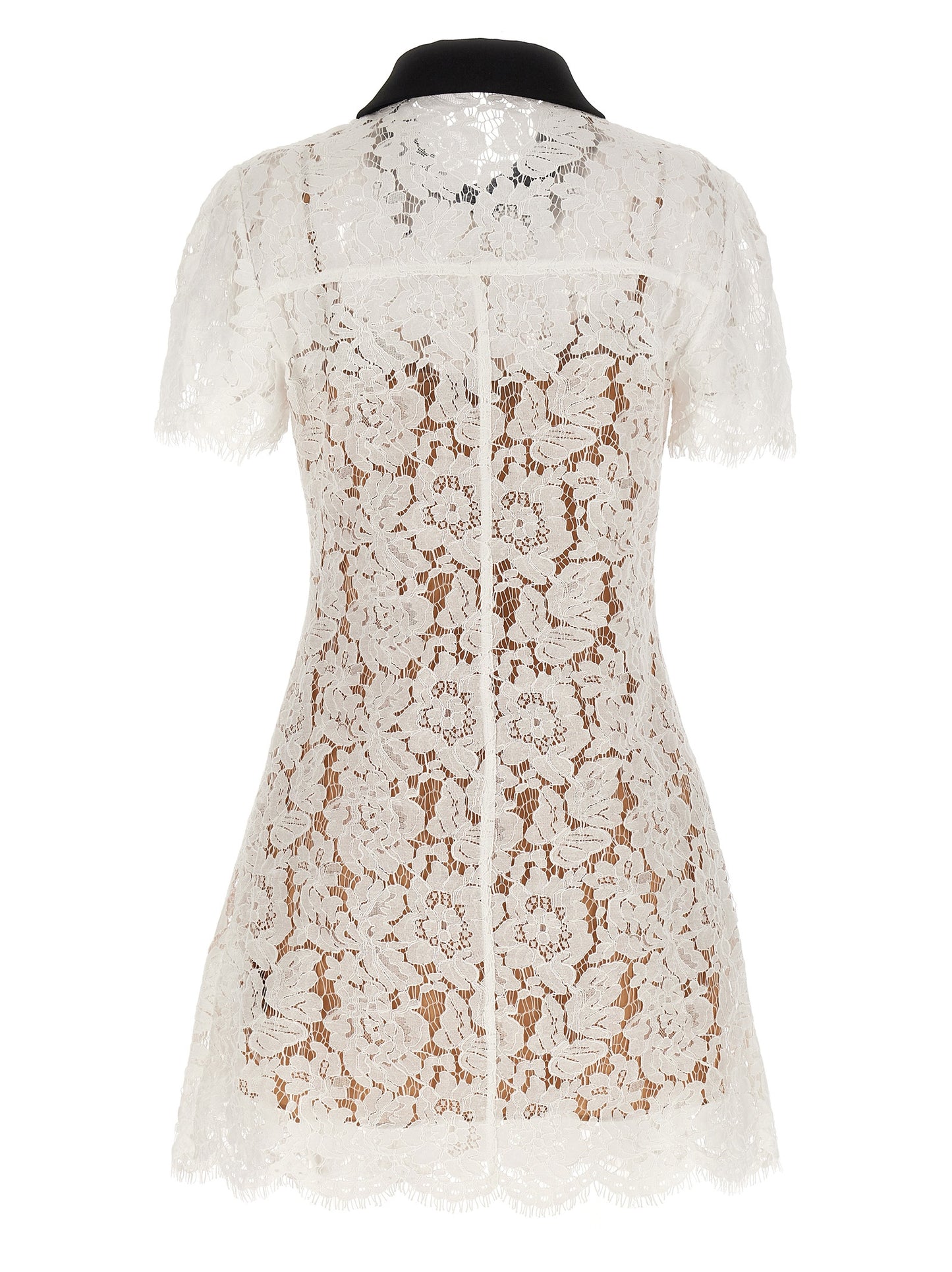 'White Lace Contrast Collar Mini' dress Dresses