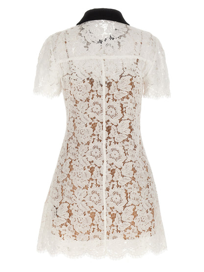 'White Lace Contrast Collar Mini' dress Dresses