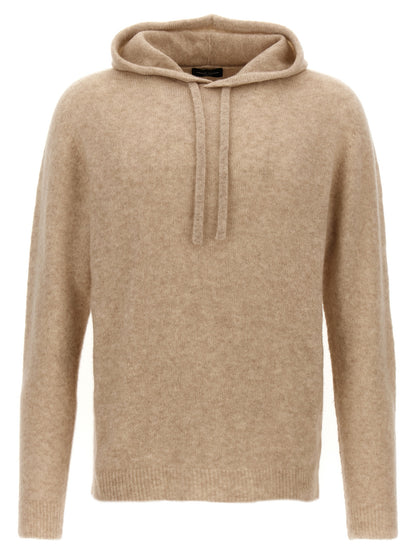 Hooded sweater Sweater, cardigans