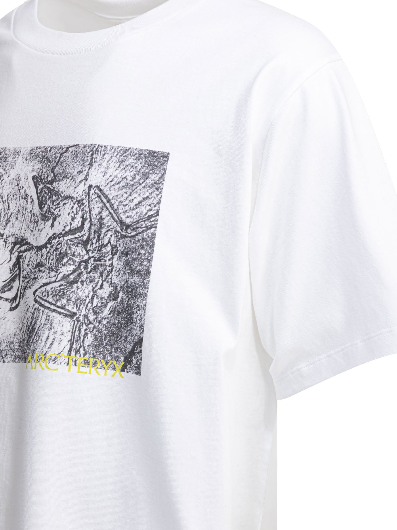"Kragg Cotton Lithographica SS" crewneck T-shirt T-shirts