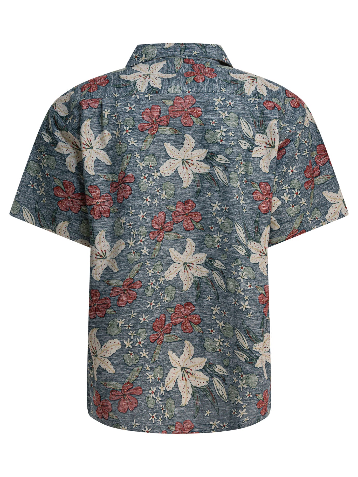 Shirts Shirts