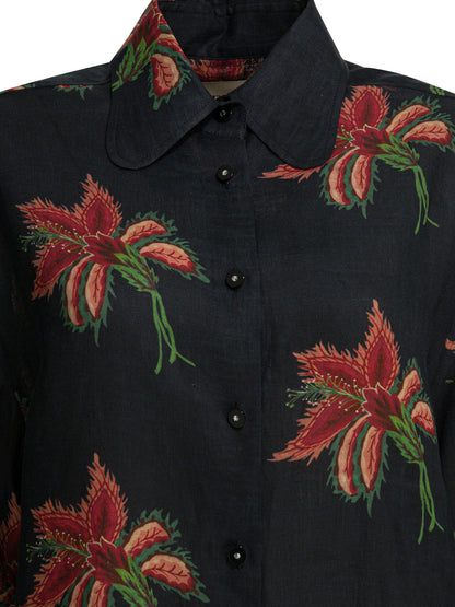 Shirts Shirts