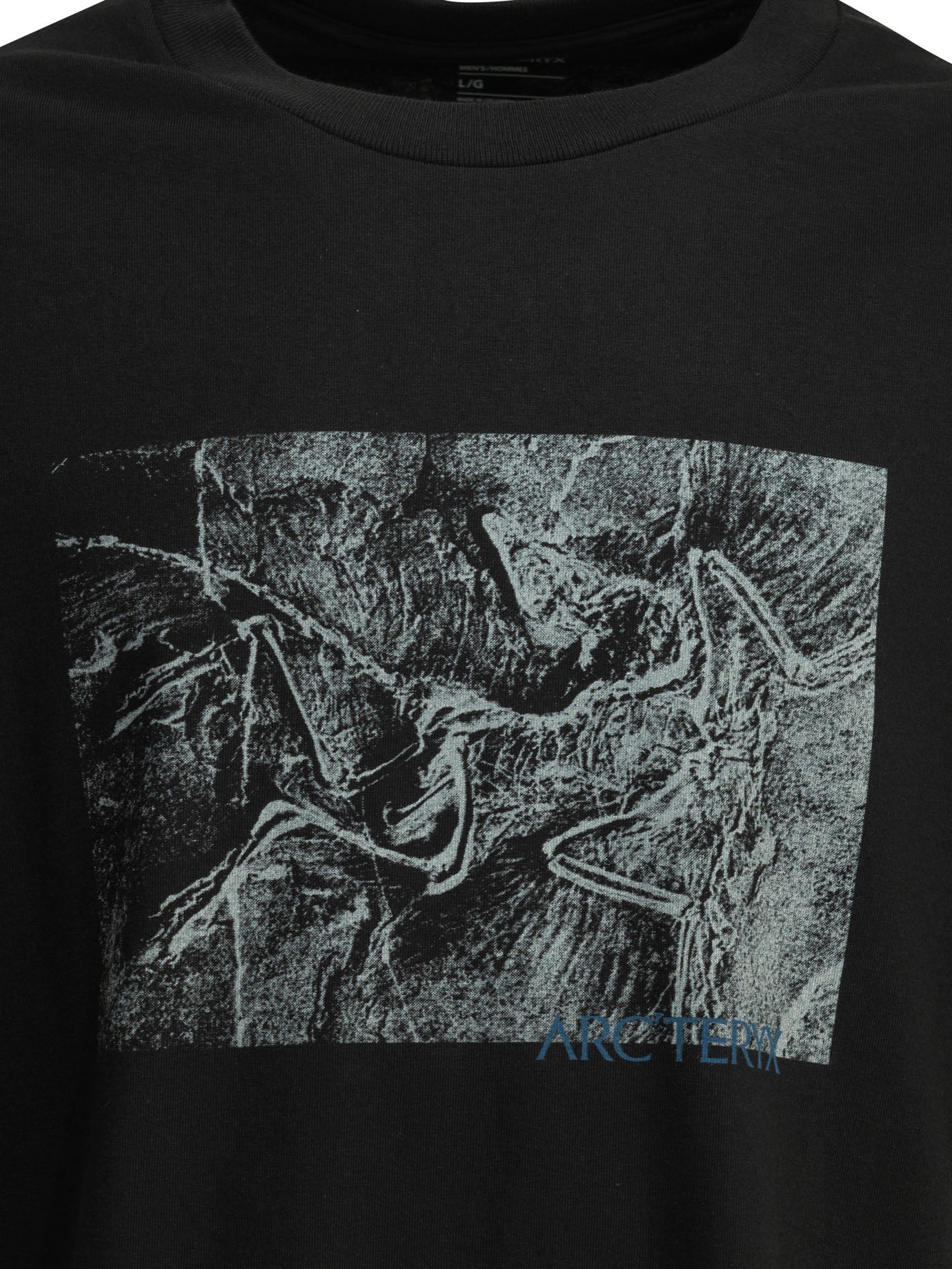 "Kragg Cotton Lithographica SS" crewneck T-shirt T-shirts
