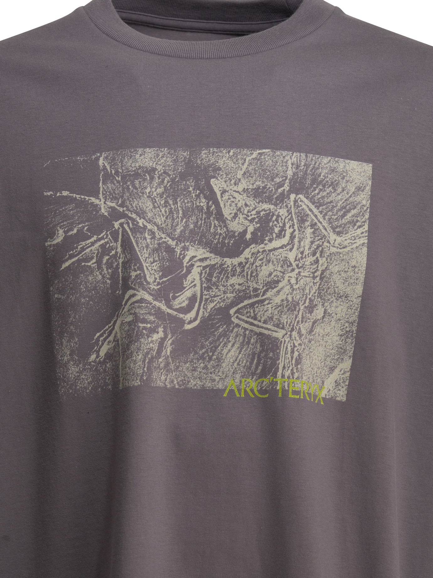 "Kragg Cotton Lithographica SS" crewneck T-shirt T-shirts