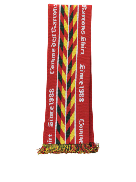 Knitted fringed scarf Sciarpe & Foulard