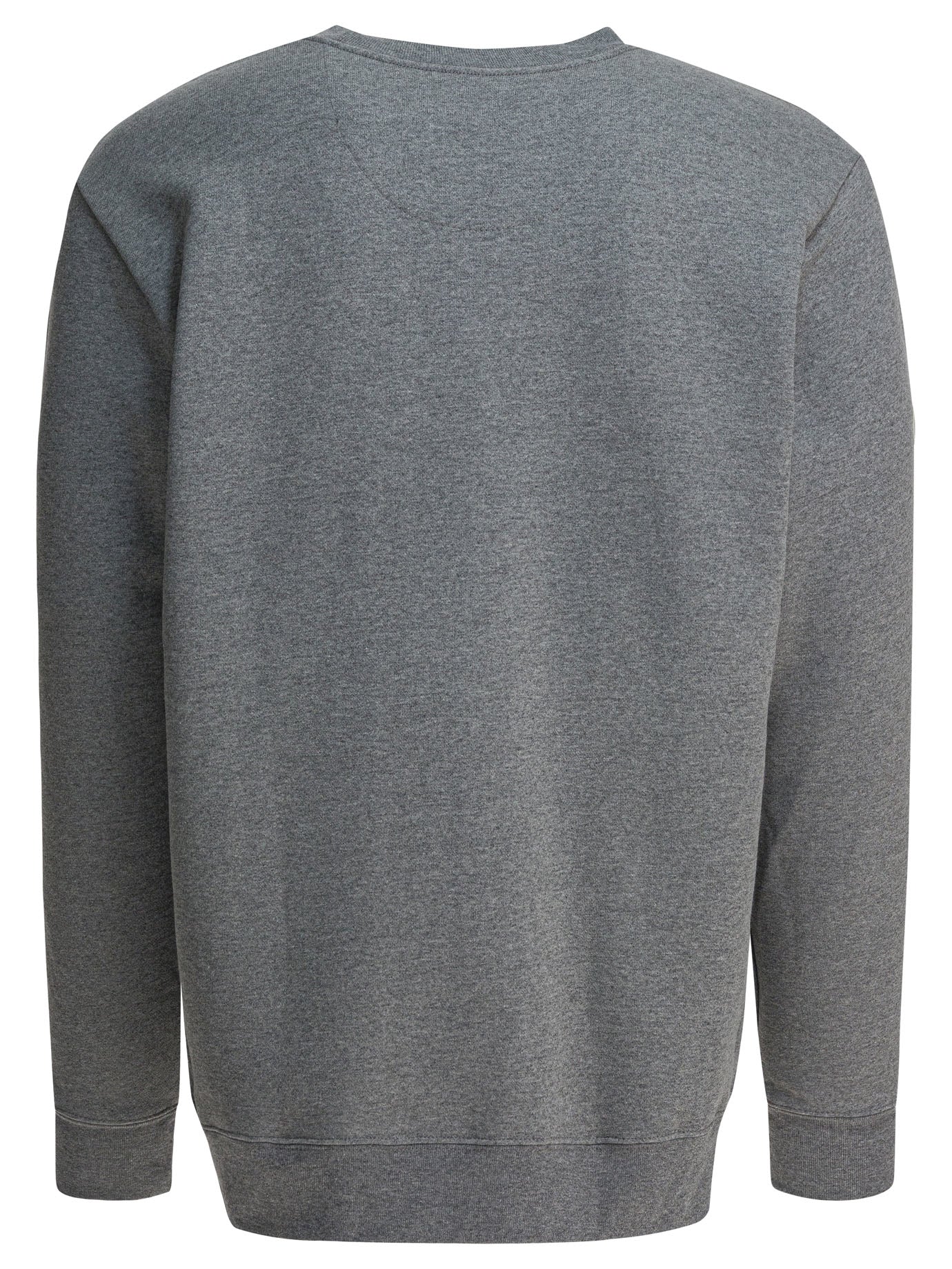 "Fitz Roy Icon Uprisal" crewneck sweatshirt Sweatshirts