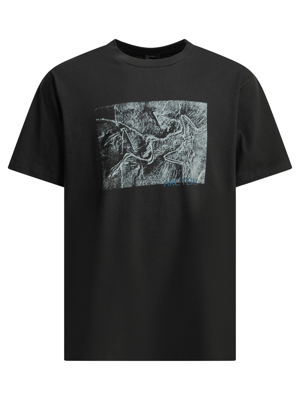 "Kragg Cotton Lithographica SS" crewneck T-shirt T-shirts