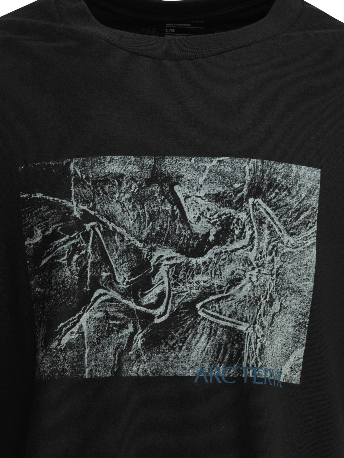 "Kragg Cotton Lithographica SS" crewneck T-shirt T-shirts