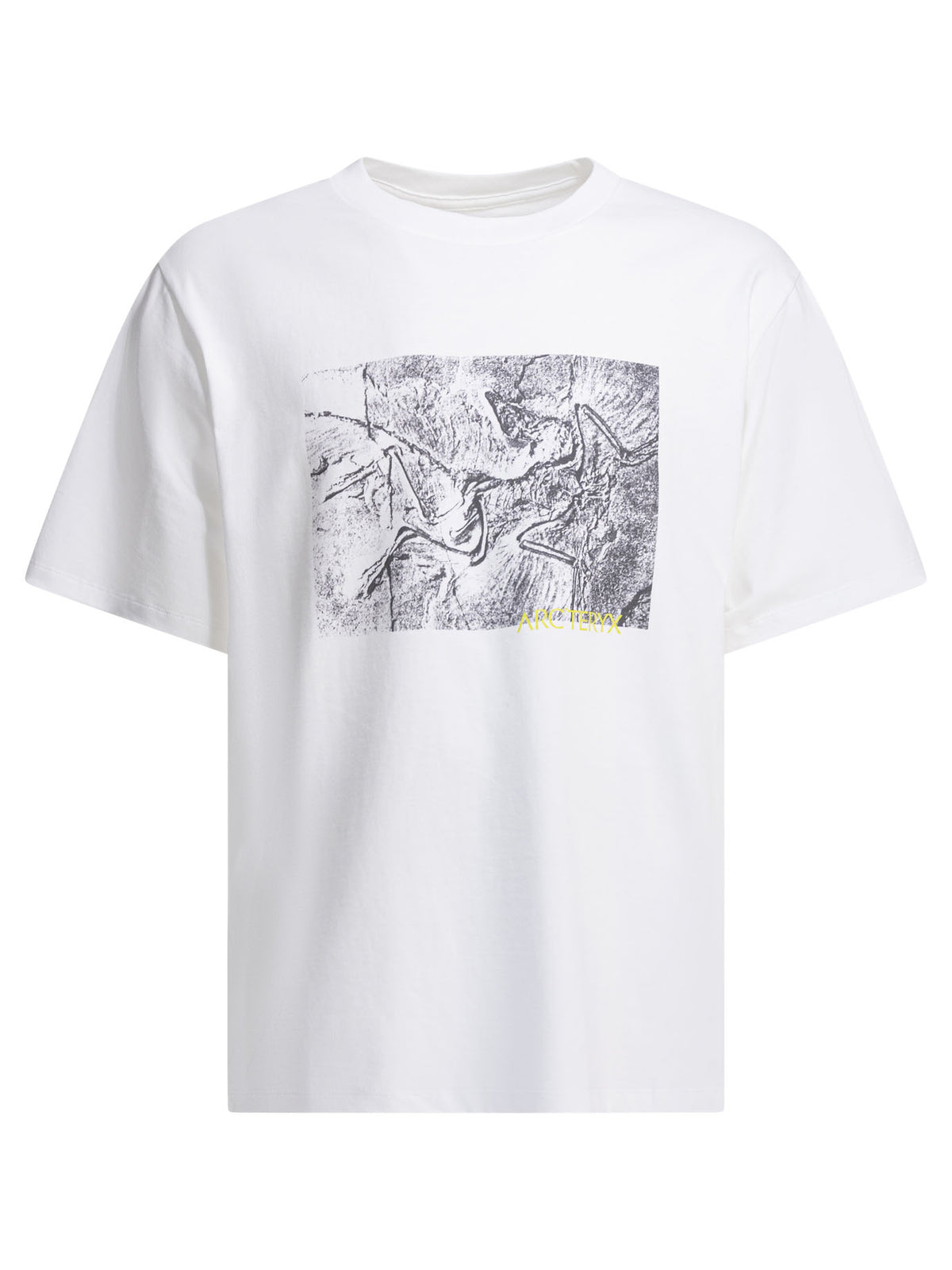 "Kragg Cotton Lithographica SS" crewneck T-shirt T-shirts