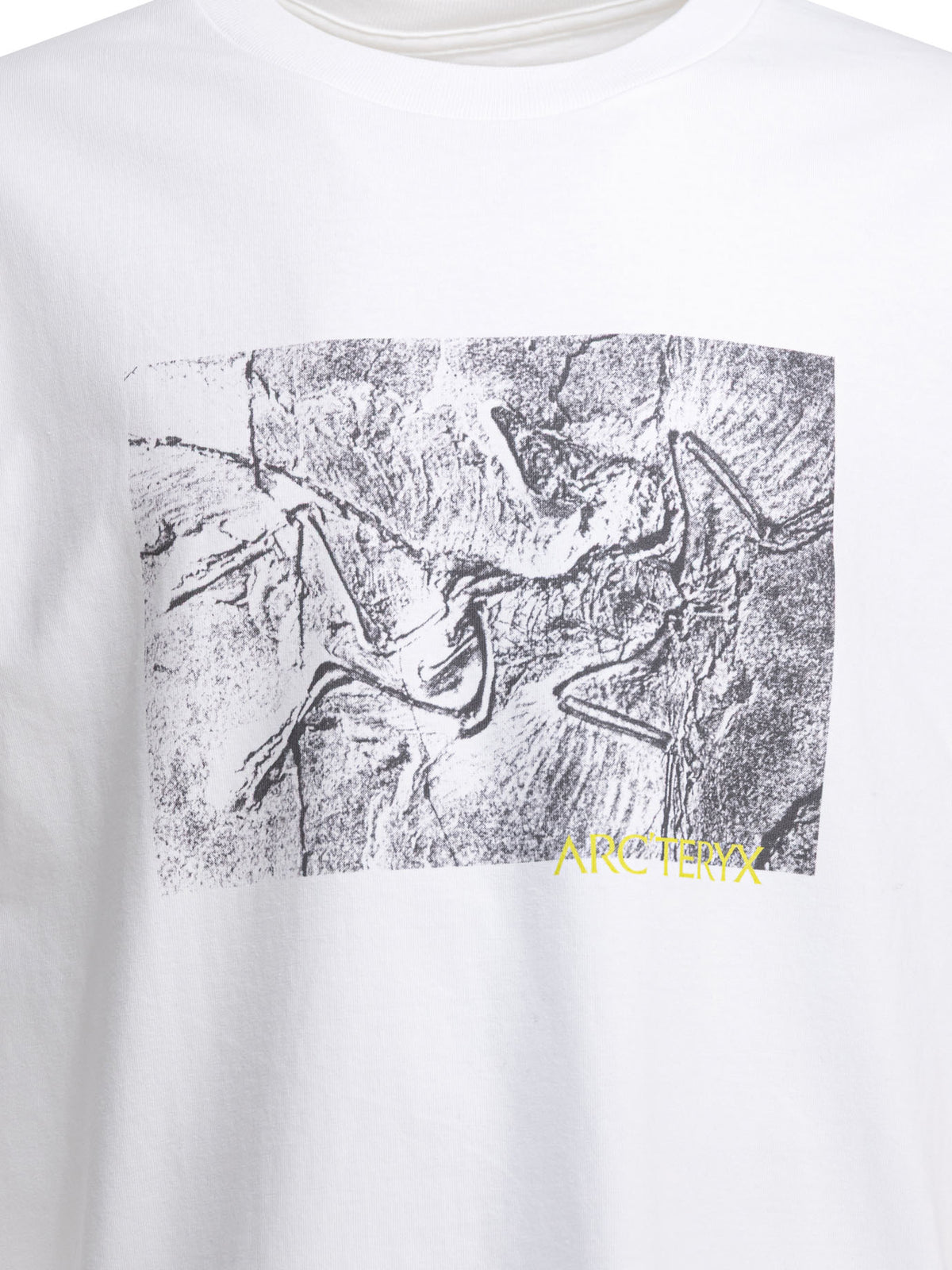 "Kragg Cotton Lithographica SS" crewneck T-shirt T-shirts