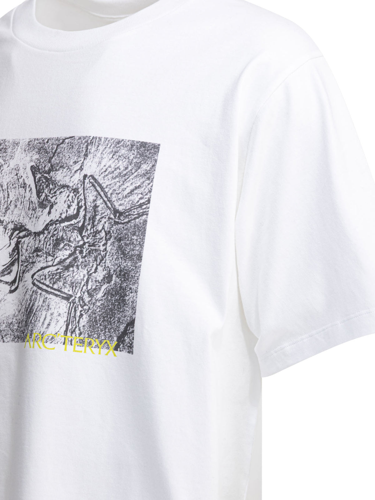 "Kragg Cotton Lithographica SS" crewneck T-shirt T-shirts