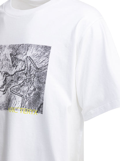 "Kragg Cotton Lithographica SS" crewneck T-shirt T-shirts