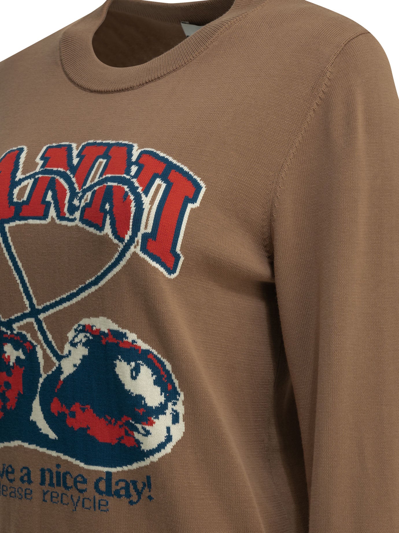 "Cherry" crewneck sweater Knitwear