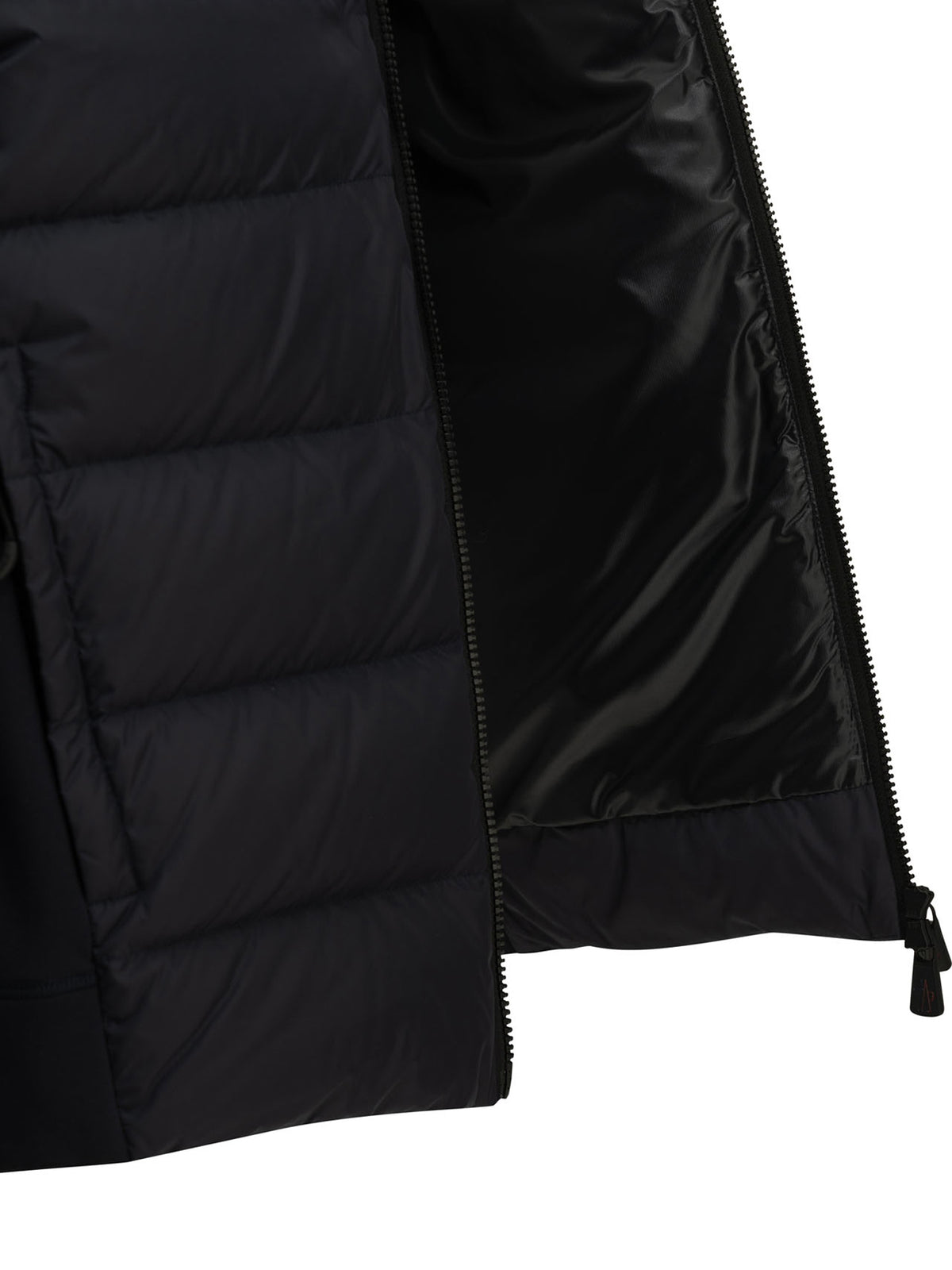 Padded Zip-Up Sweatshirt Sweatshirts